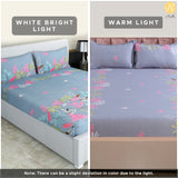 Nendle Microfiber 210TC Double Bedsheet Queen Size 78x60 Inches with Elastic Fitting with 2 Pillow Covers (Fits Upto Mattress of 10 Inches, Light Grey)