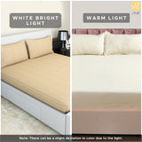 Nendle Elastic Fitted Stripe Pattern Microfiber 210TC Double Bedsheets King Size 78x72 Inches with 2 Pillow Covers (Fits Upto Mattress of 10 Inches, Beige)