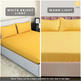 Nendle Elastic Fitted Stripe Pattern Microfiber 210TC Double Bedsheets King Size 78x72 Inches with 2 Pillow Covers (Fits Upto Mattress of 10 Inches, Yellow)